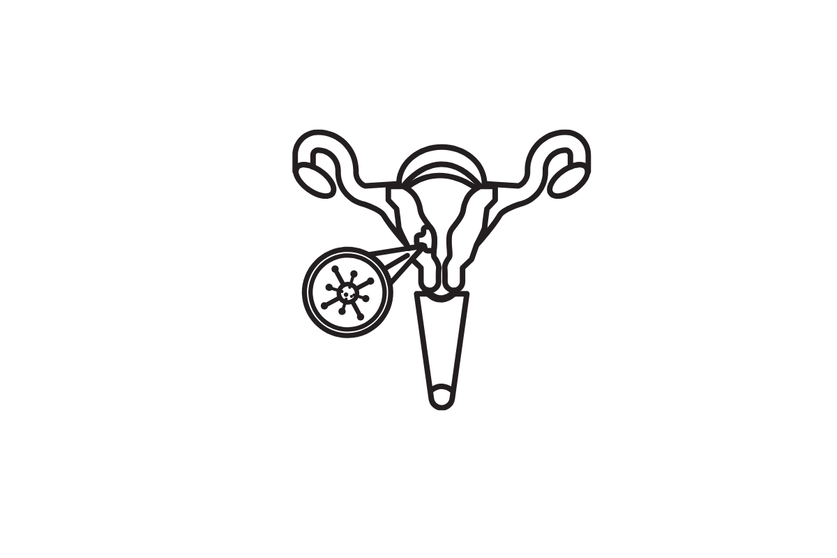 Portable ultrasound device used in a community clinic